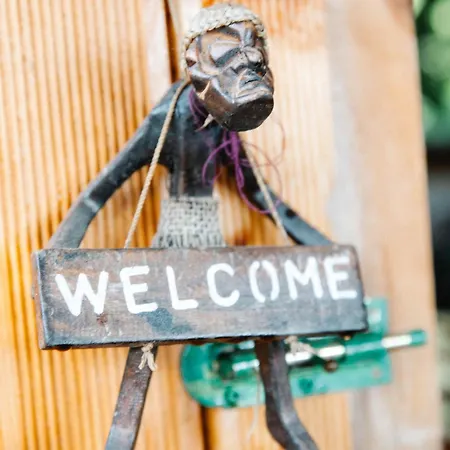 Kaplumbaga * フェティエ