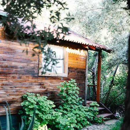 Kaplumbaga * フェティエ