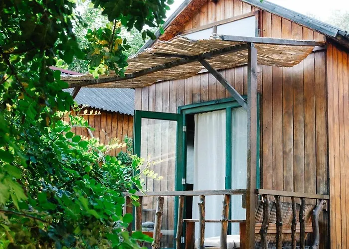 Kaplumbaga * Fethiye