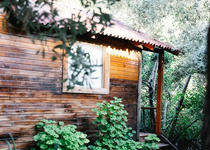 Kaplumbaga * Fethiye