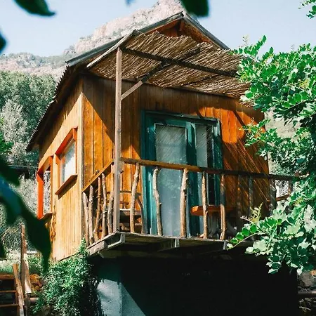 Kaplumbaga * Fethiye