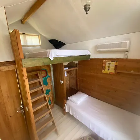 Kaplumbaga * Fethiye