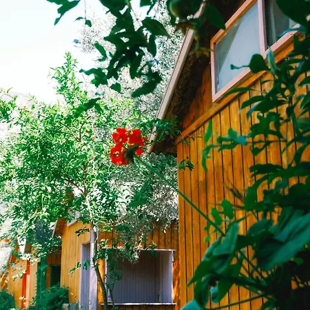 Kaplumbaga Resort Fethiye