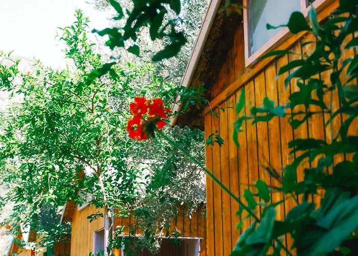 Kaplumbaga Semesteranläggning (resort) Fethiye