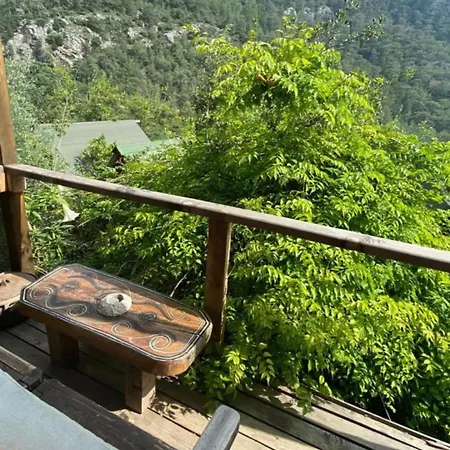 Resort Kaplumbaga *