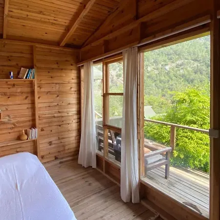 Kaplumbaga Fethiye