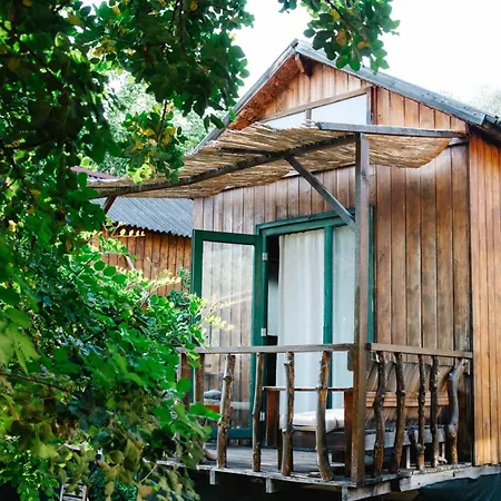 Kaplumbaga * فتحية