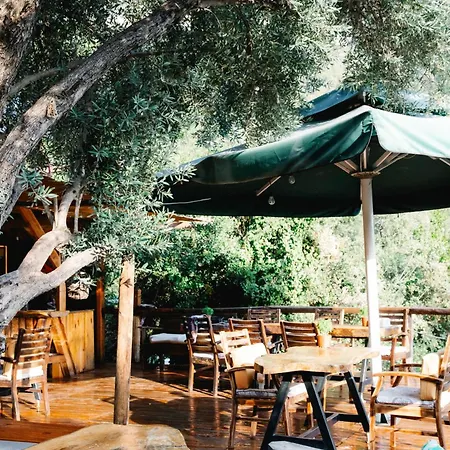 Kaplumbaga منتجع