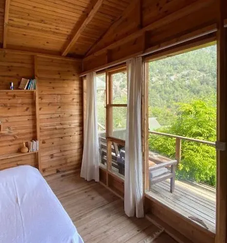 Kaplumbaga * Fethiye