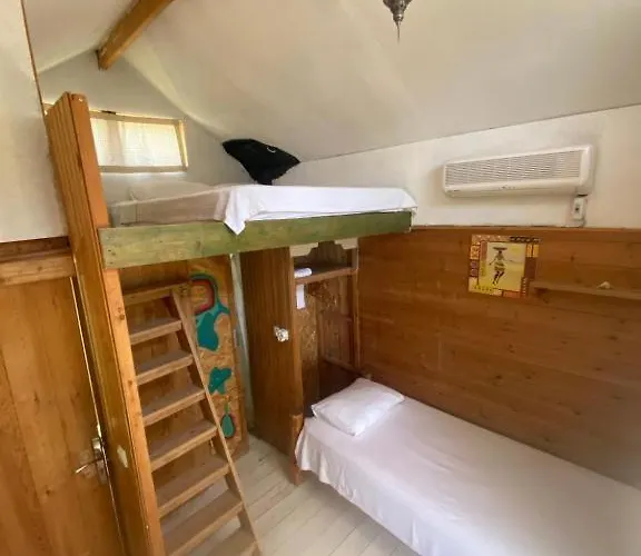 Kaplumbaga * 费特希耶