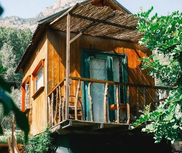 Kaplumbaga * Fethiye