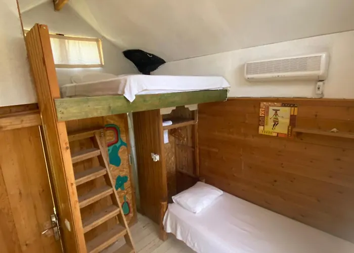 Kaplumbaga * 费特希耶