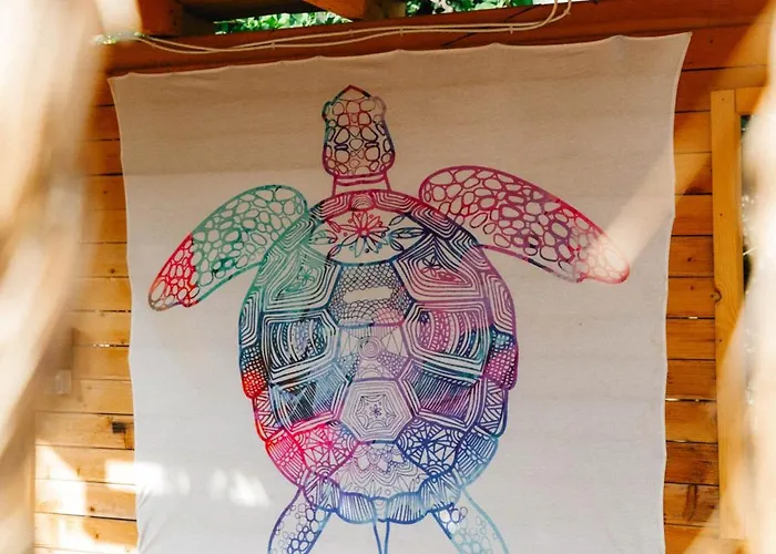 度假村 Kaplumbaga 费特希耶