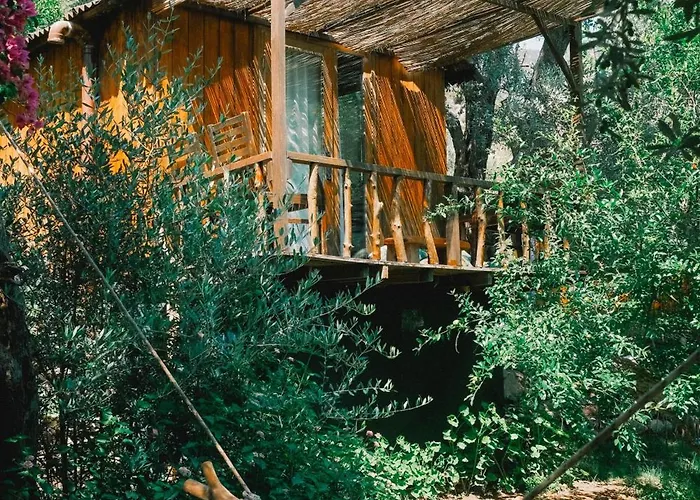 Kaplumbaga Üdülőközpont *