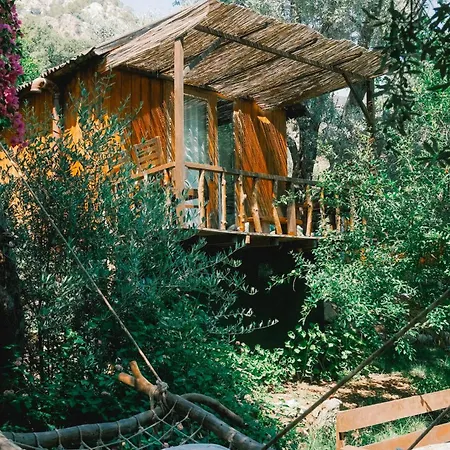 Kaplumbaga Complex *